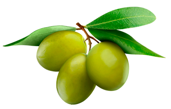 Maxi Cracker aux Olives Vertes et à l'huile d'olive