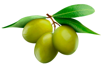 Maxi Cracker of Green Olives and olive oil