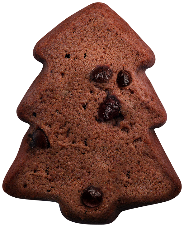 Deliciosas galletas de invierno con nibs de cacao.